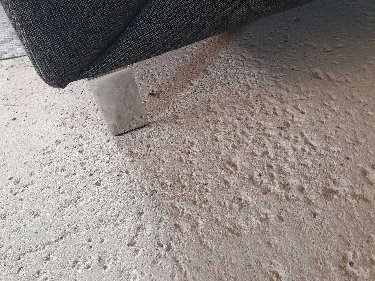 Billede 4 - Hjort knudsen