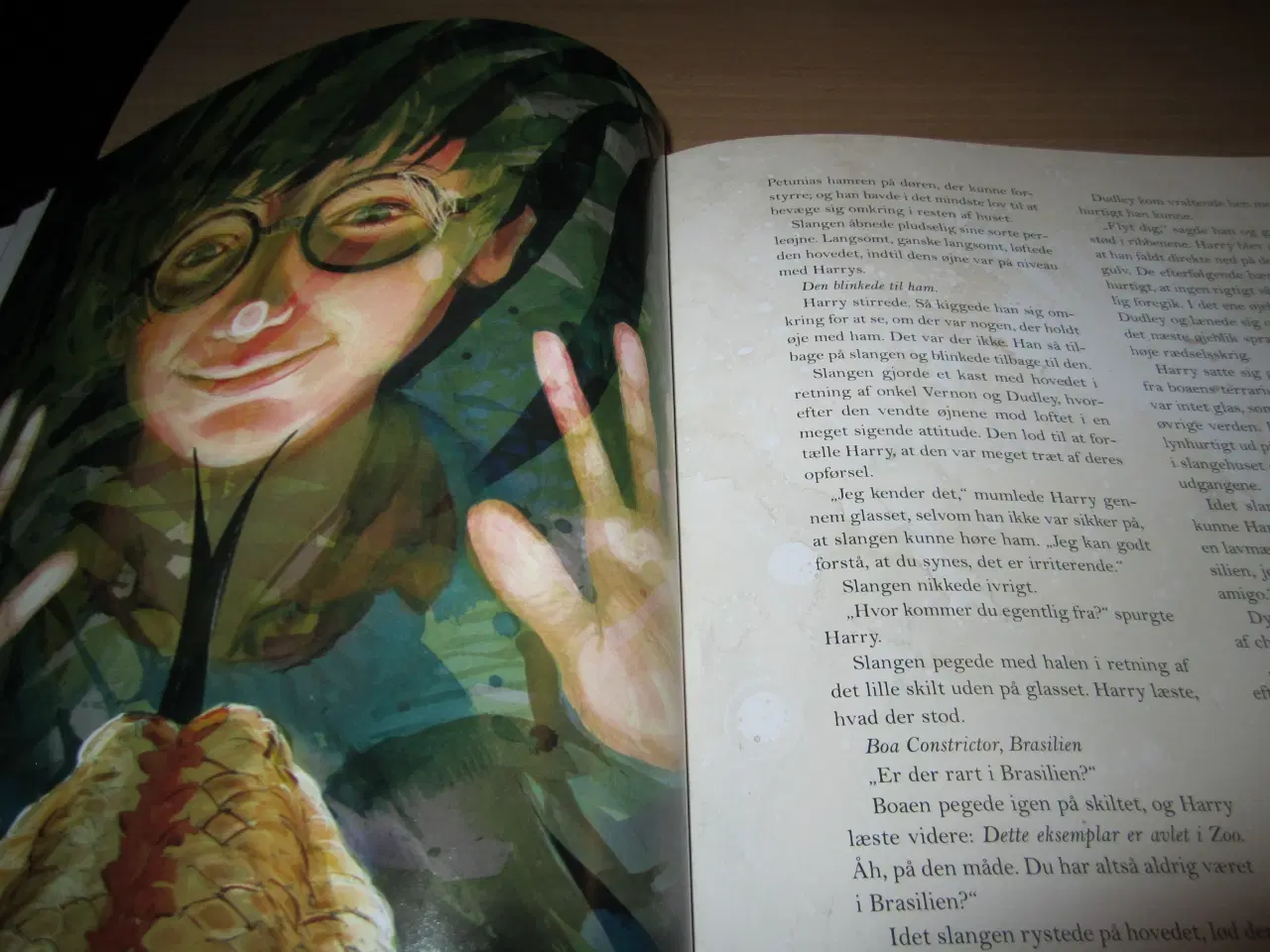 Billede 4 - HARRY POTTER og De Vises Sten.