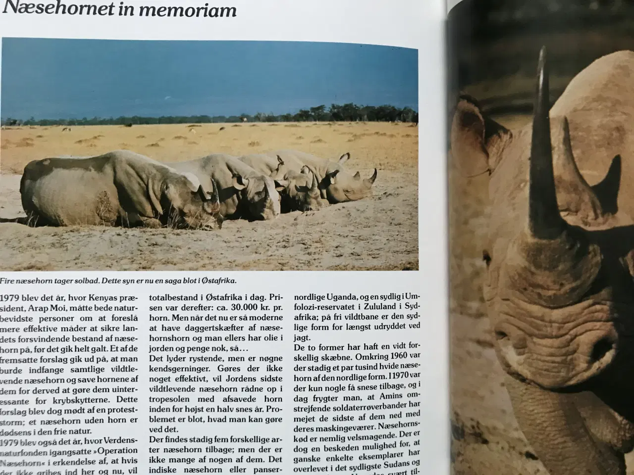 Billede 5 - 4 stk. Naturårsbøger