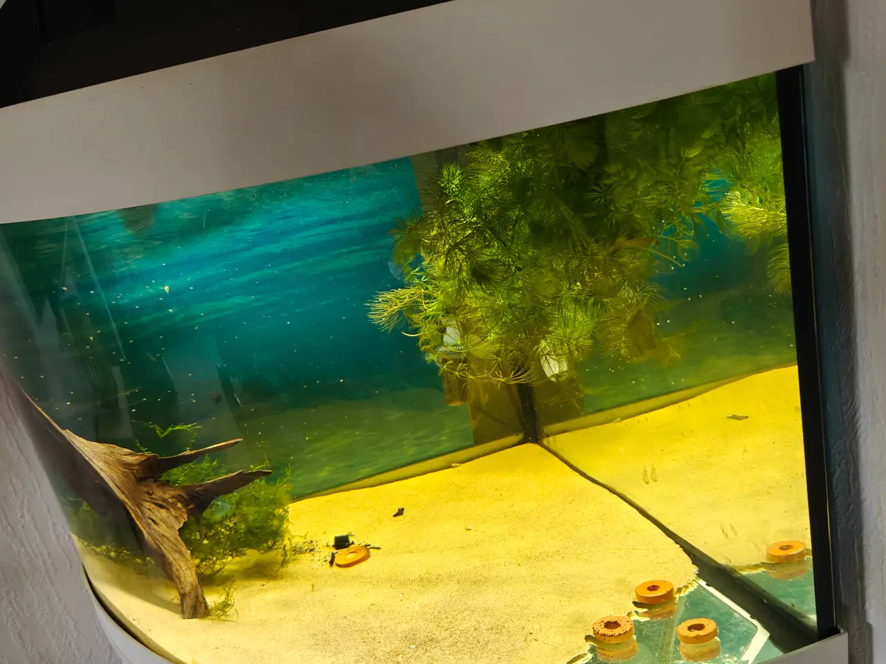 Billede 4 - Akvarie juwel 190 trigon