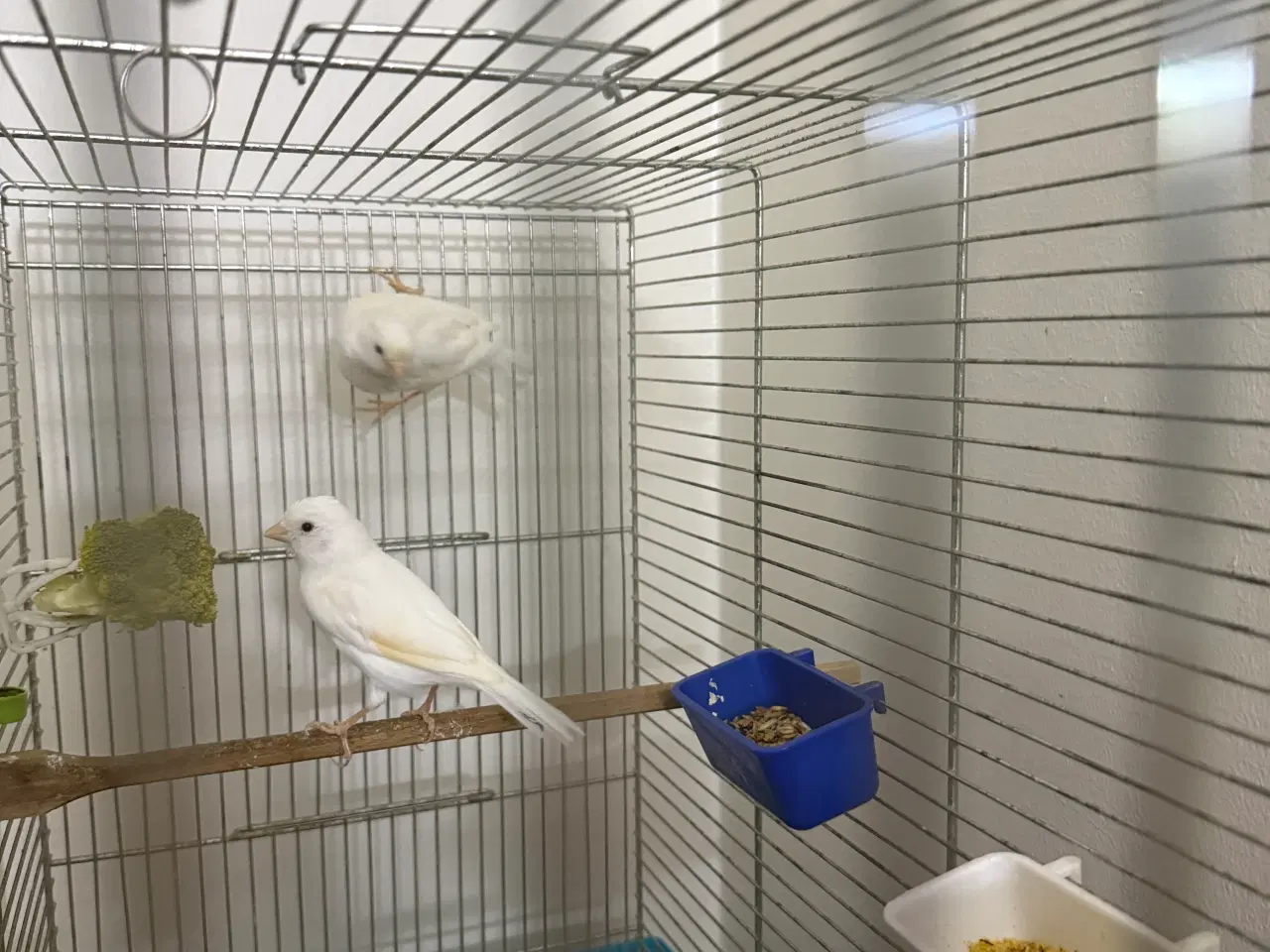 Billede 6 - Beskrivelse af varen