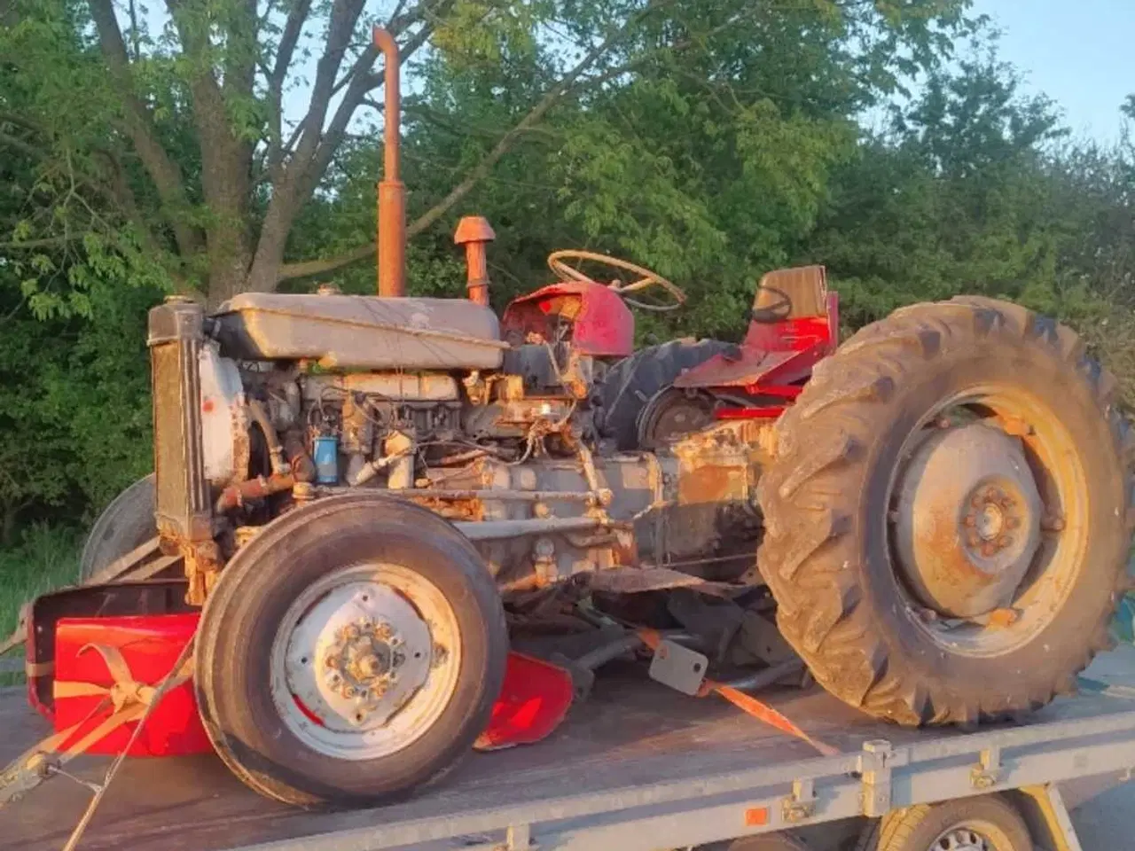 Billede 4 - Defekte Massey Ferguson traktorer købes til ophug 