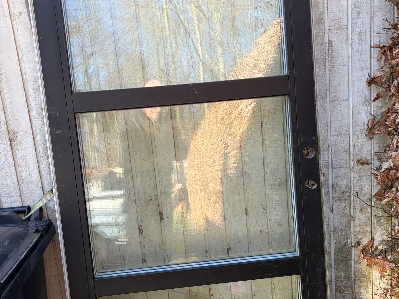 Billede 1 - Hoved/facadedør mrk. Rationel