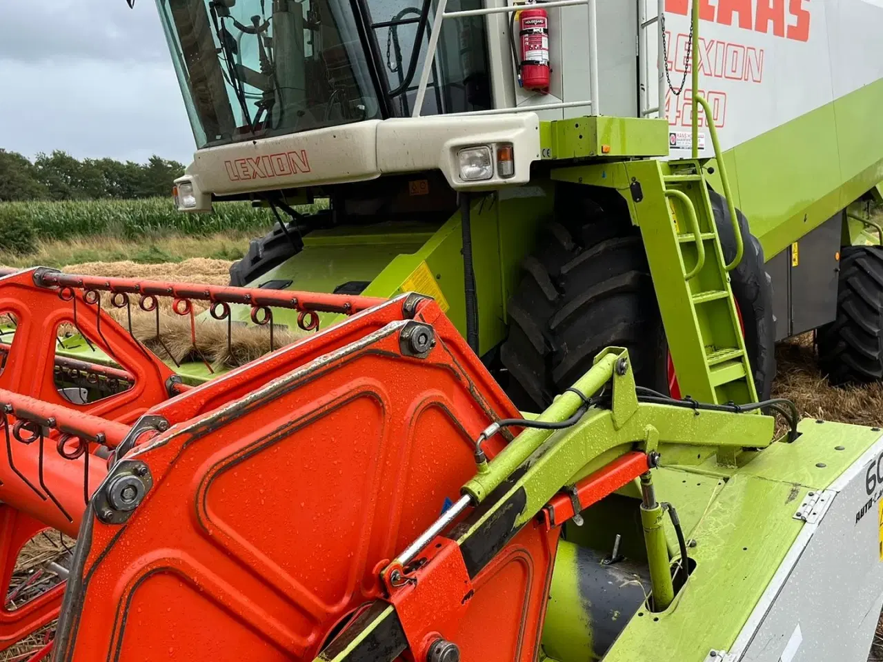 Billede 14 - CLAAS LEXION 420 Velholdt maskine med kun 1900timer og 600 Skærbord