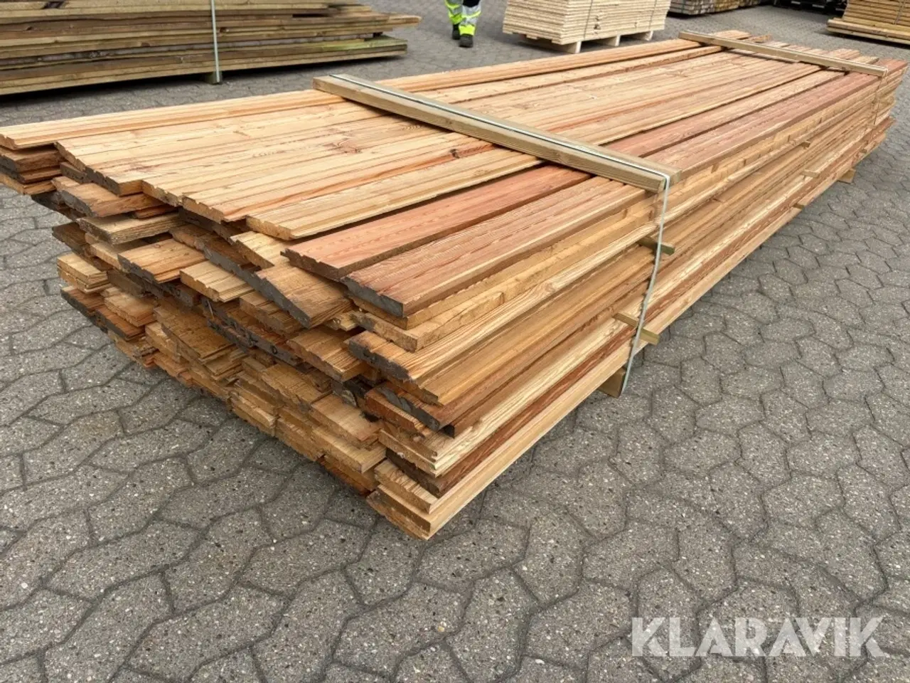 Billede 4 - Sternbradder Lærk - 130 styks