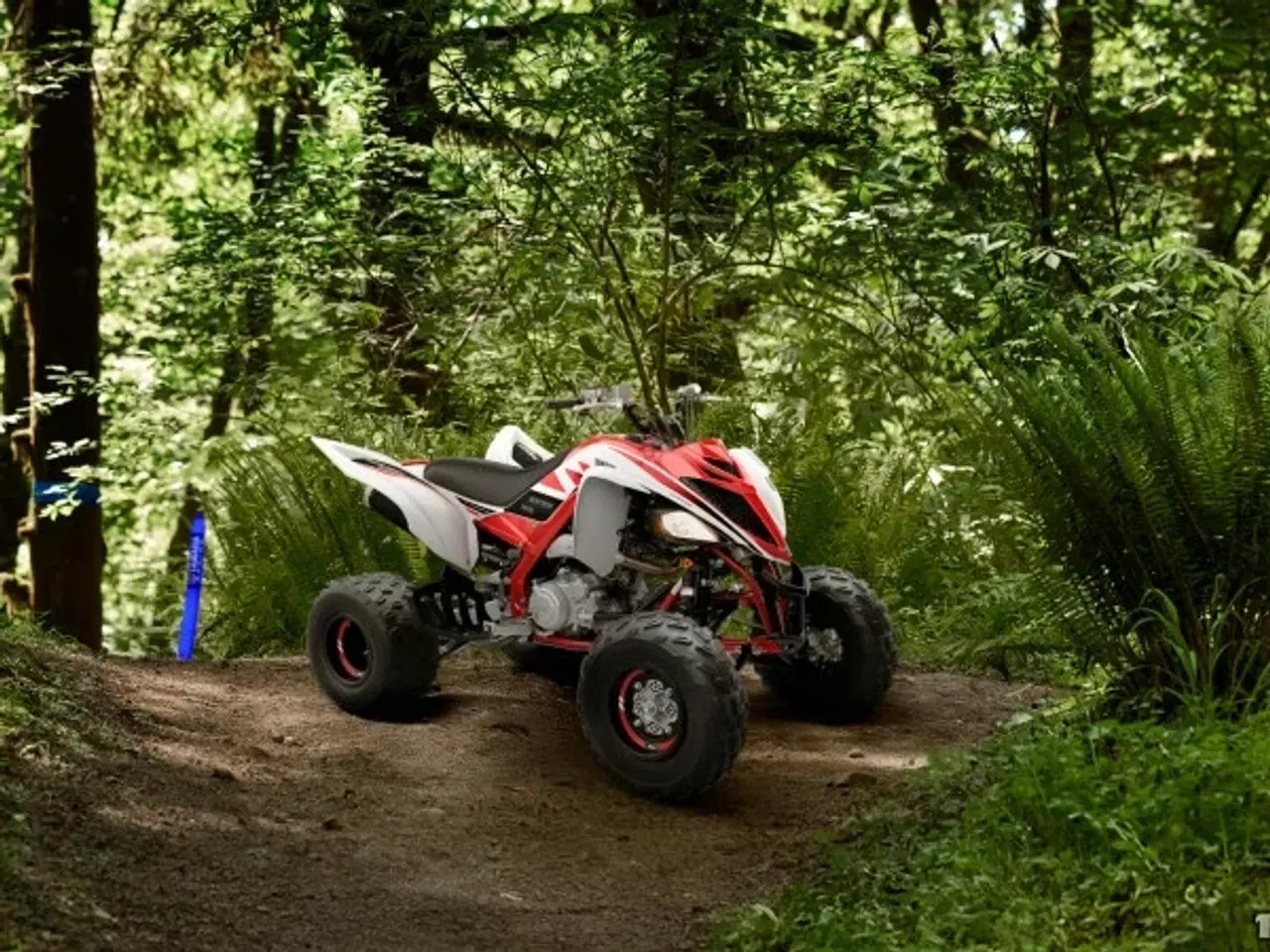 Billede 2 - Yamaha YFM 700 R 70-års jubilæumsudgave