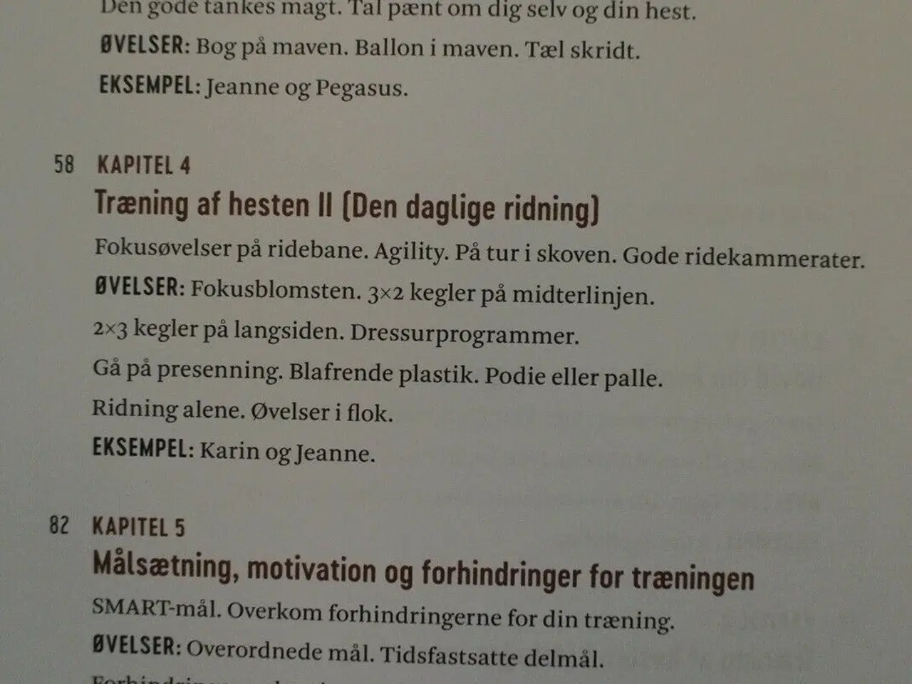 Billede 3 - tryg til hest - tips og øvelser til ro og rideglæd