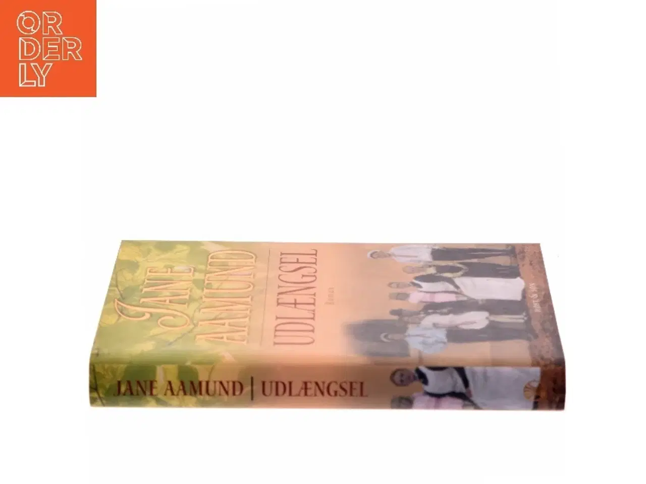 Billede 2 - Udlængsel af Jane Aamund (Bog)
