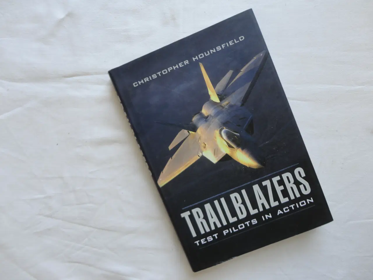 Billede 1 - Trailblazers  :