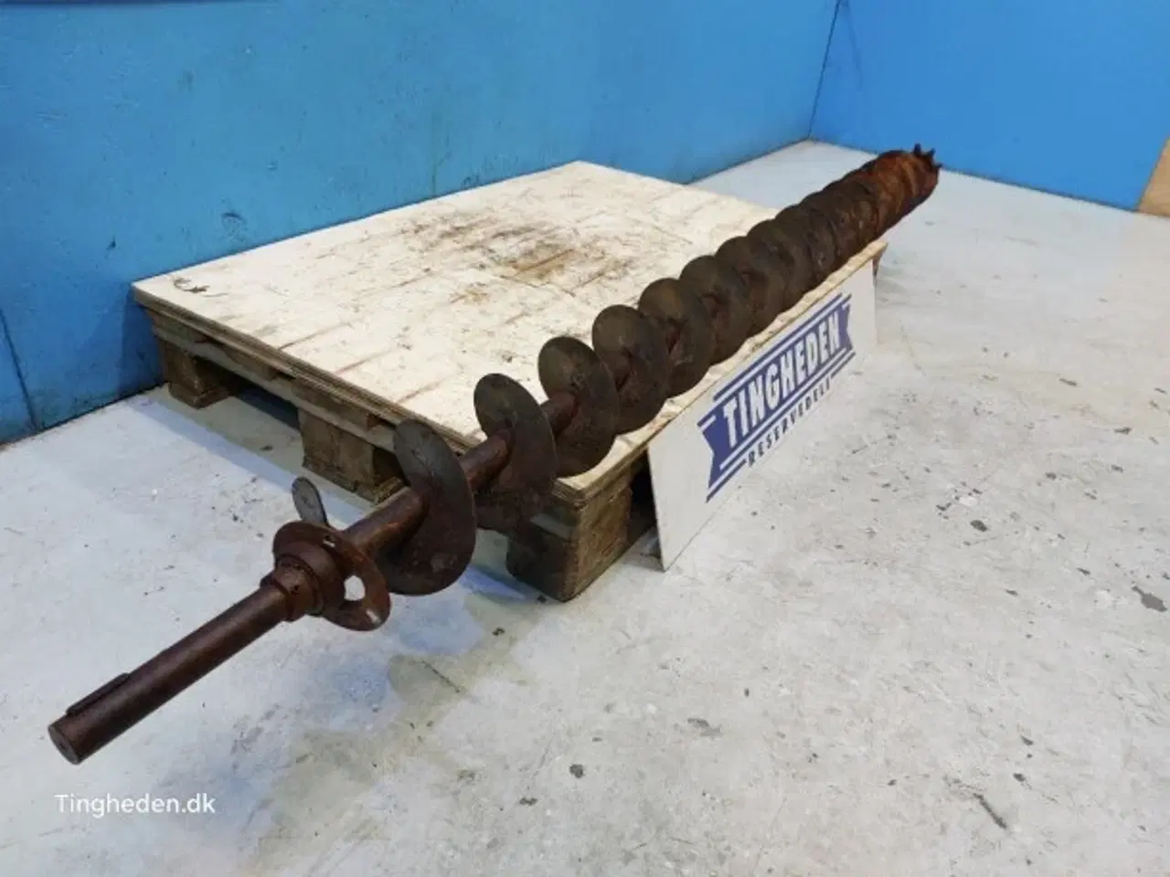 Billede 12 - Massey Ferguson 31 Fyldesnegl 28550083