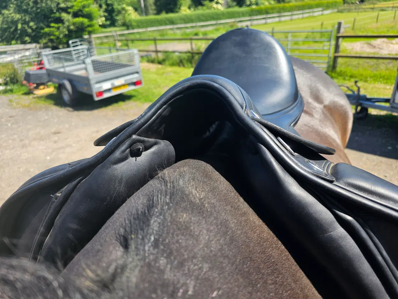 Billede 2 - Prestige x Helen 18"