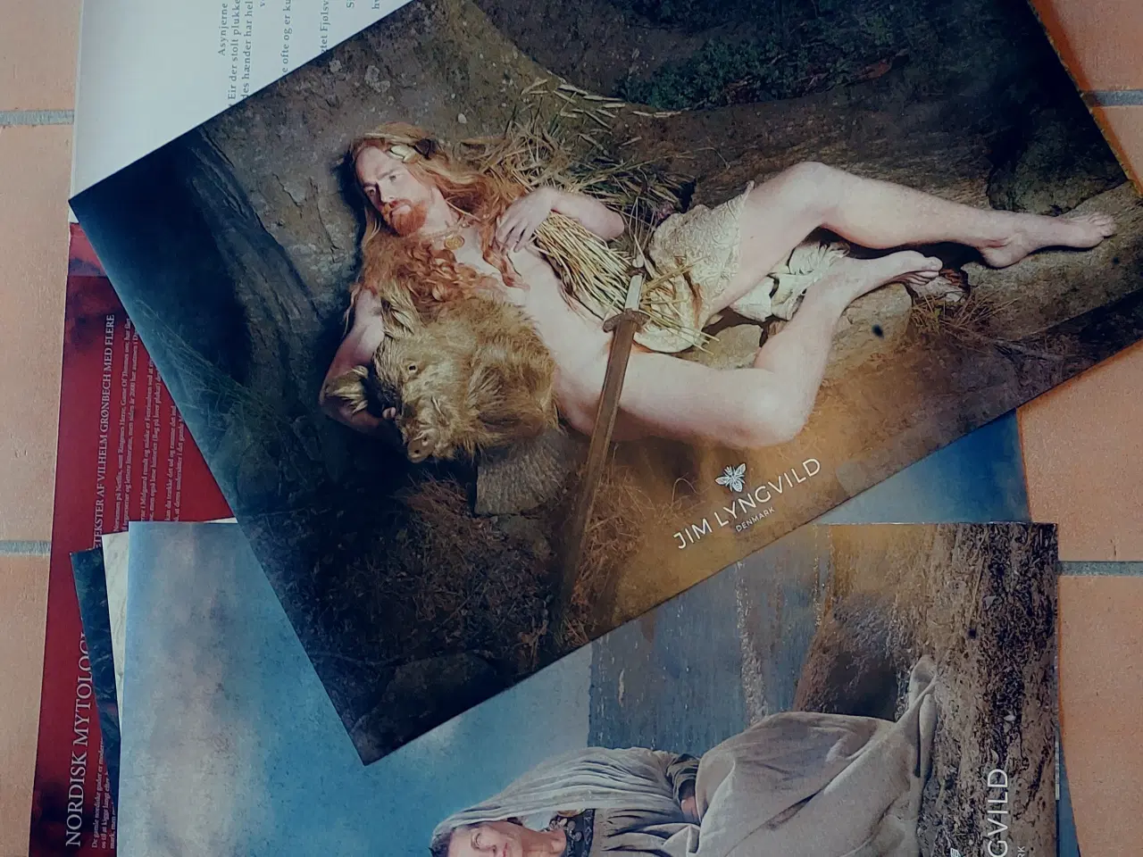 Billede 3 - SIGNERET-- JIM LYNGVILD-- PLAKATMAPPE