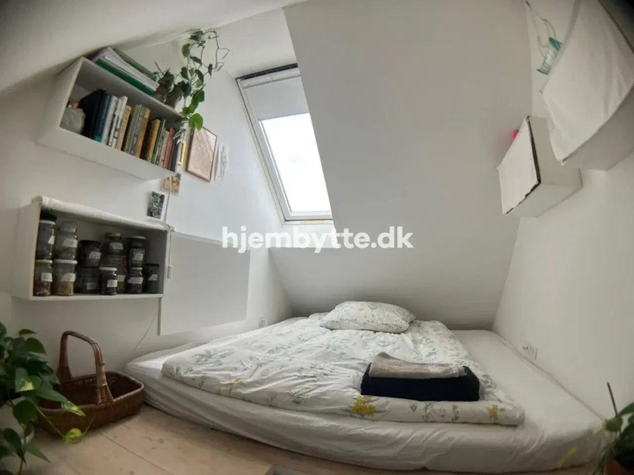 Billede 7 - Hjembytte - SanktHansGade