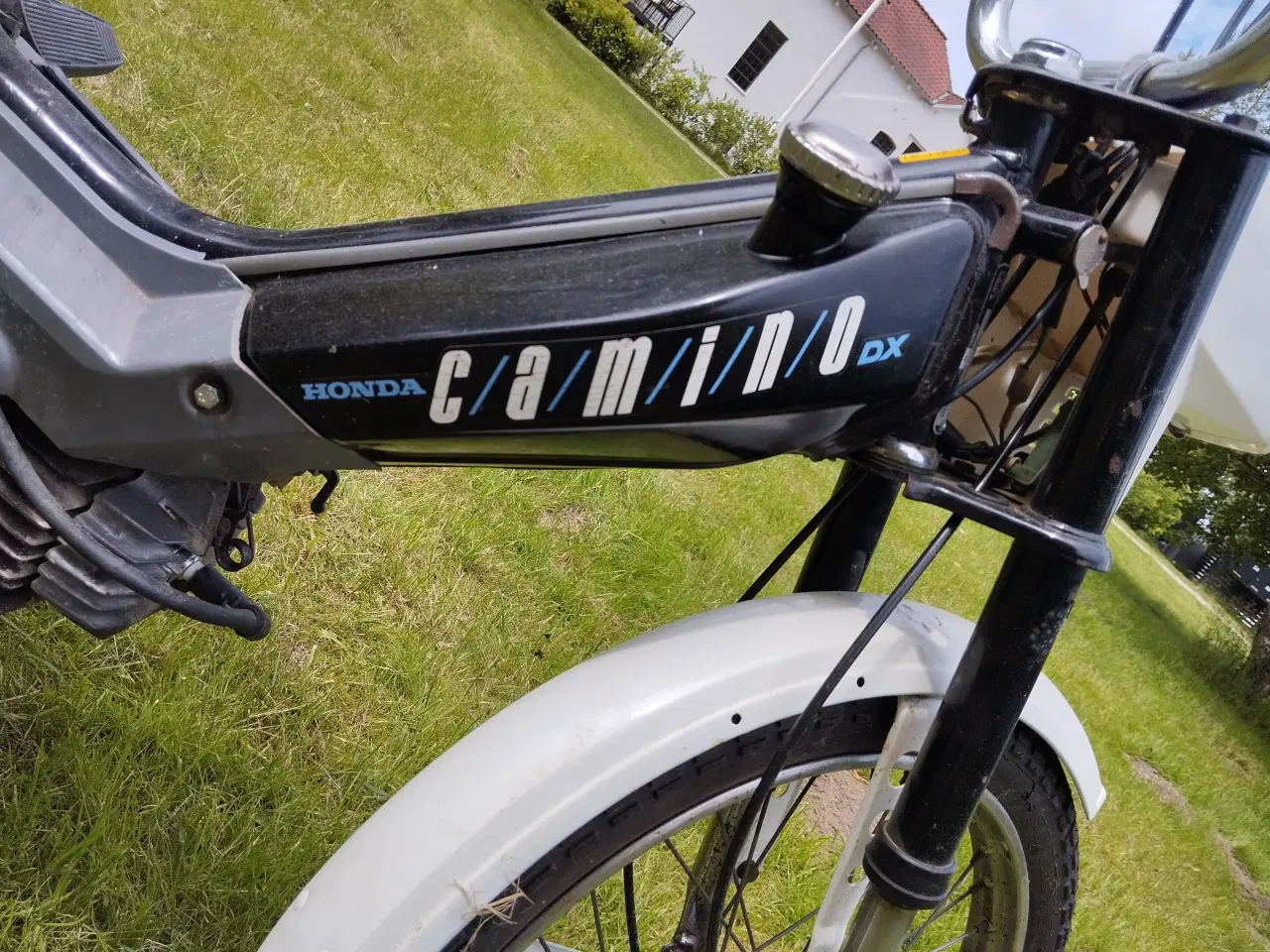 Billede 5 - Knallert - Honda DX Camino Pa50