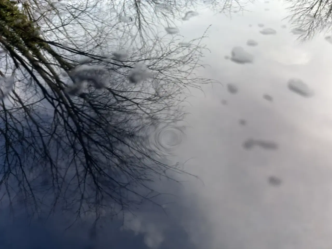 Billede 18 - Renault Clio IV 0,9 TCe 90 GO! Sport Tourer