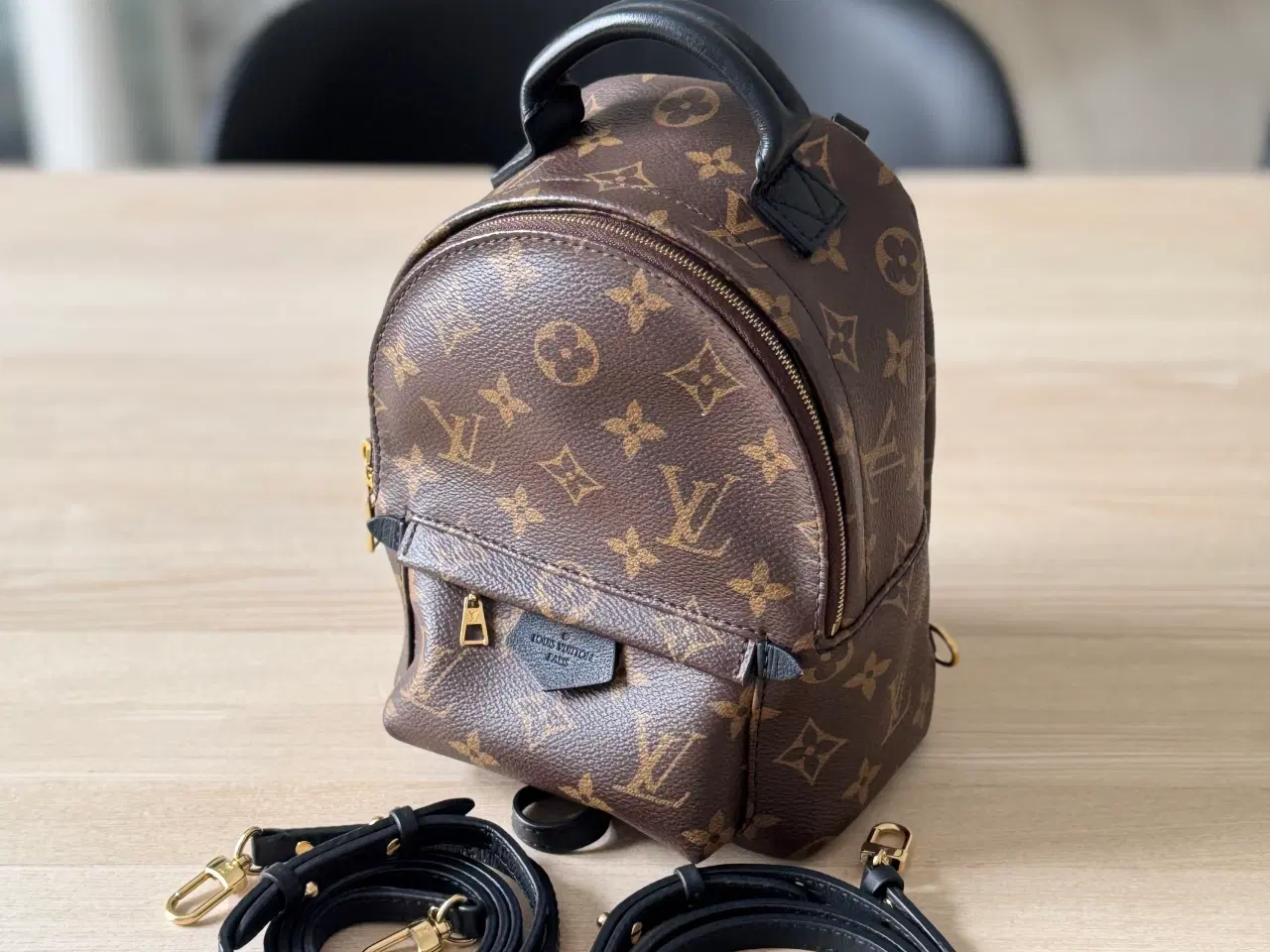 Billede 6 - Louis Vuitton Palm Springs Mini