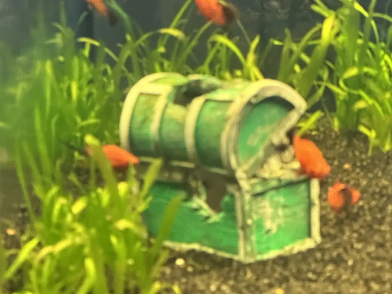 Billede 2 - Sværedraver