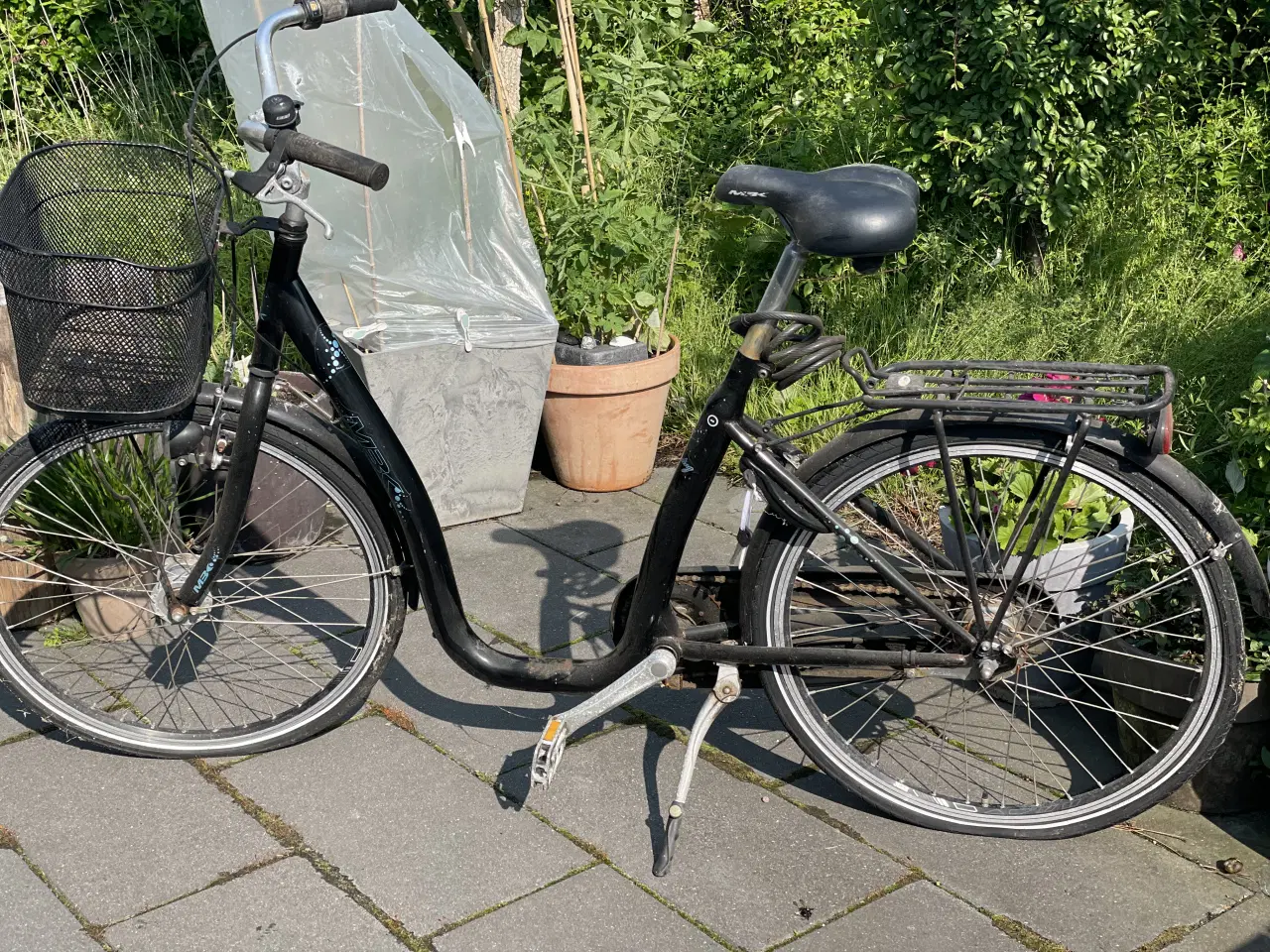 Billede 2 - 1 herrecykel og 2 damecykler, sommerhus cykler 