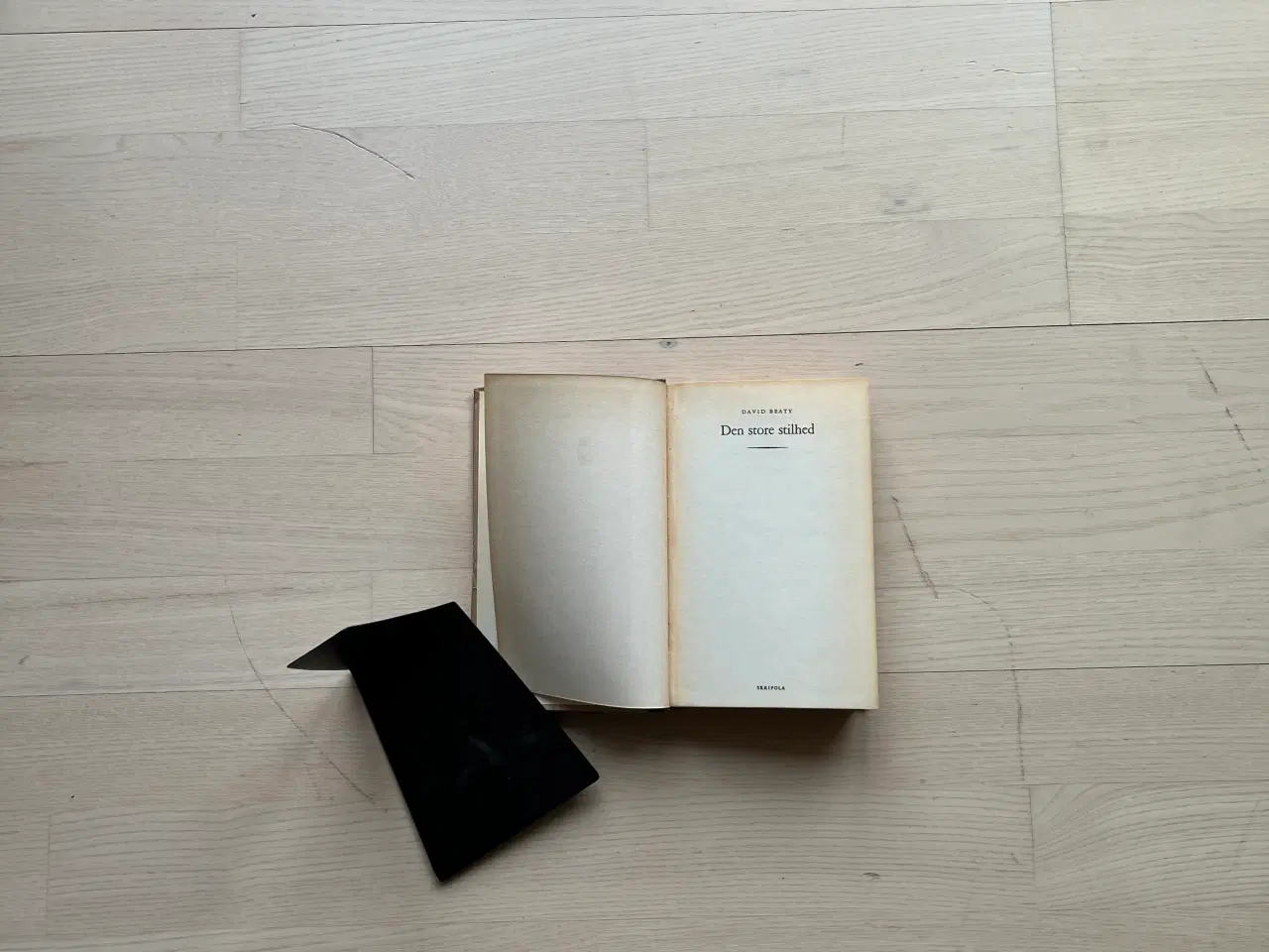 Billede 2 - Den store Stilhed - af David Beaty