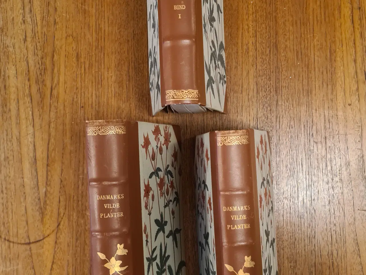 Billede 3 - Danmarks Vilde Planter