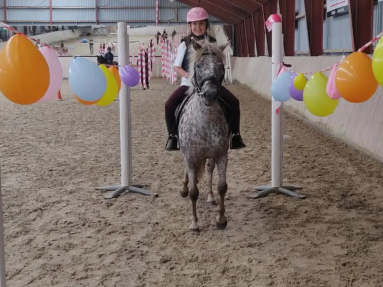 Billede 2 - 3èr pony hoppe