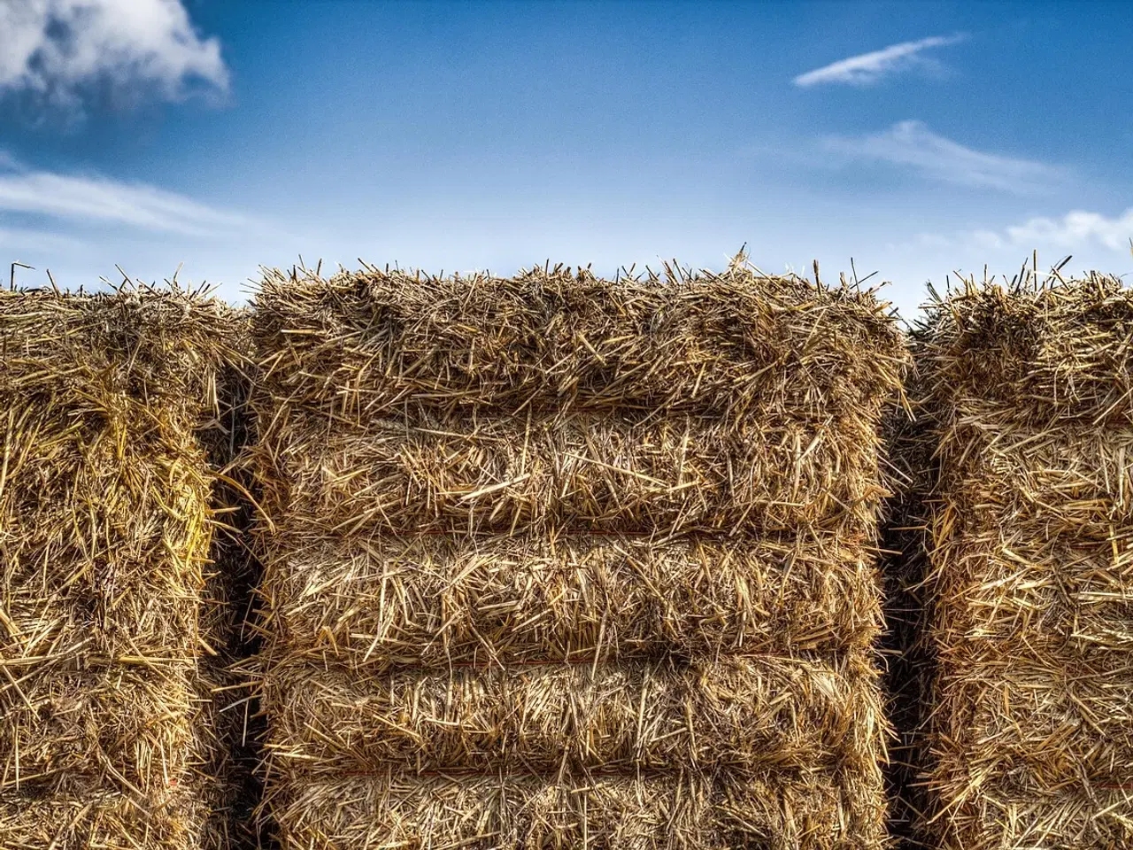 Billede 2 - Bindegarn i mange størrelser