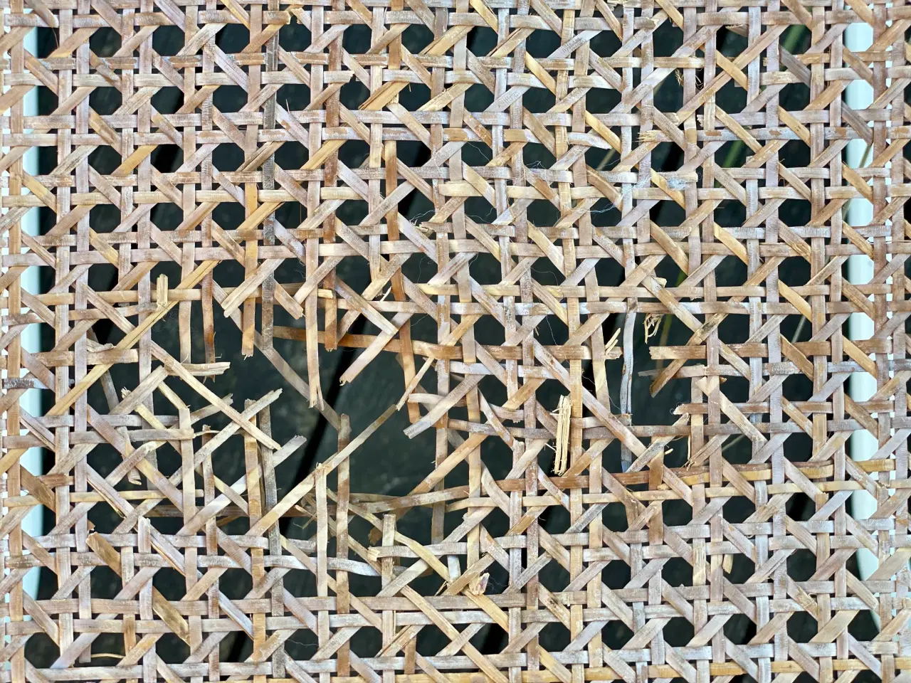 Billede 4 - Frisvingerstole med fransk flet