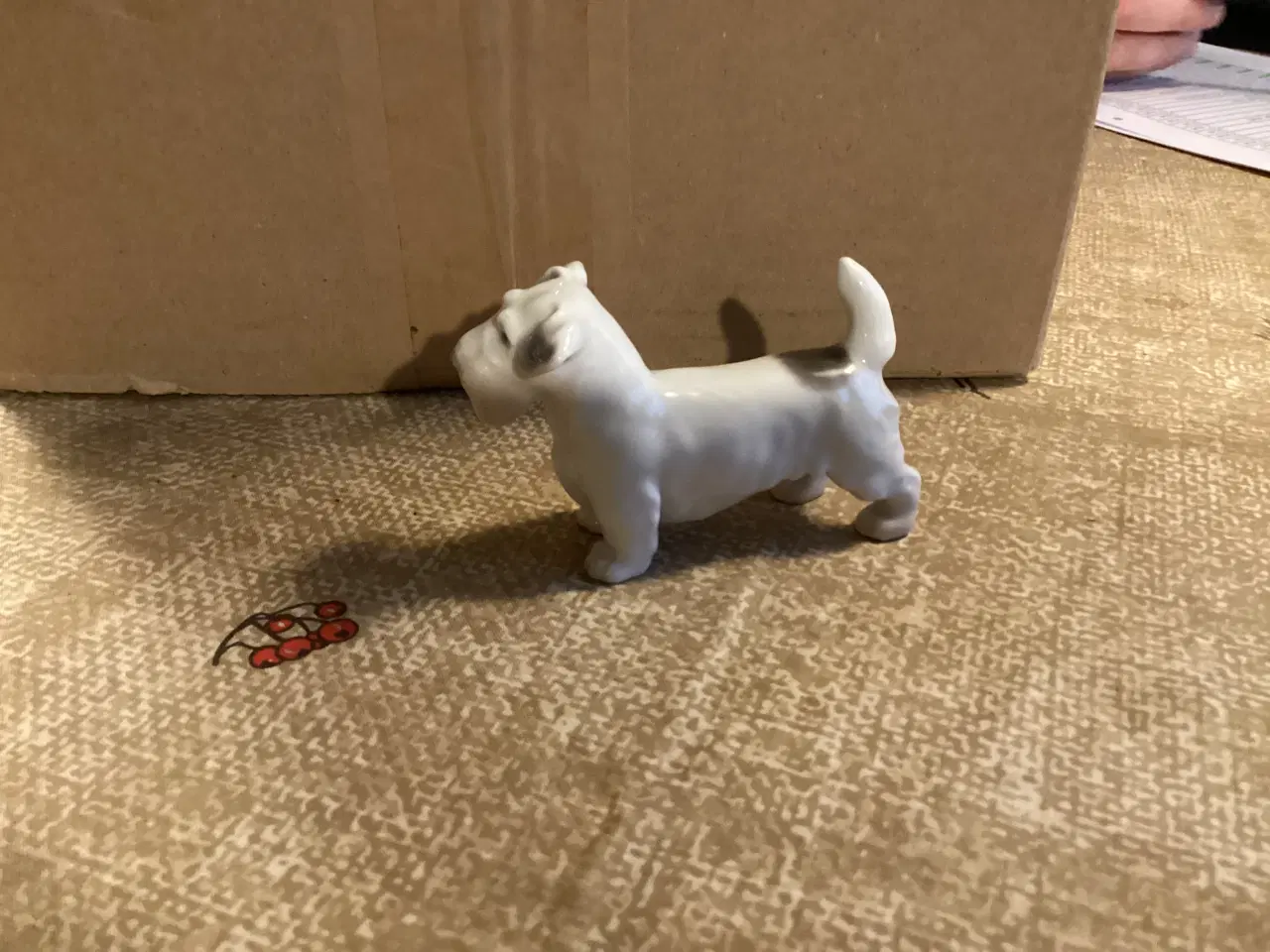 Billede 4 - Sealyham terrier nr 2071