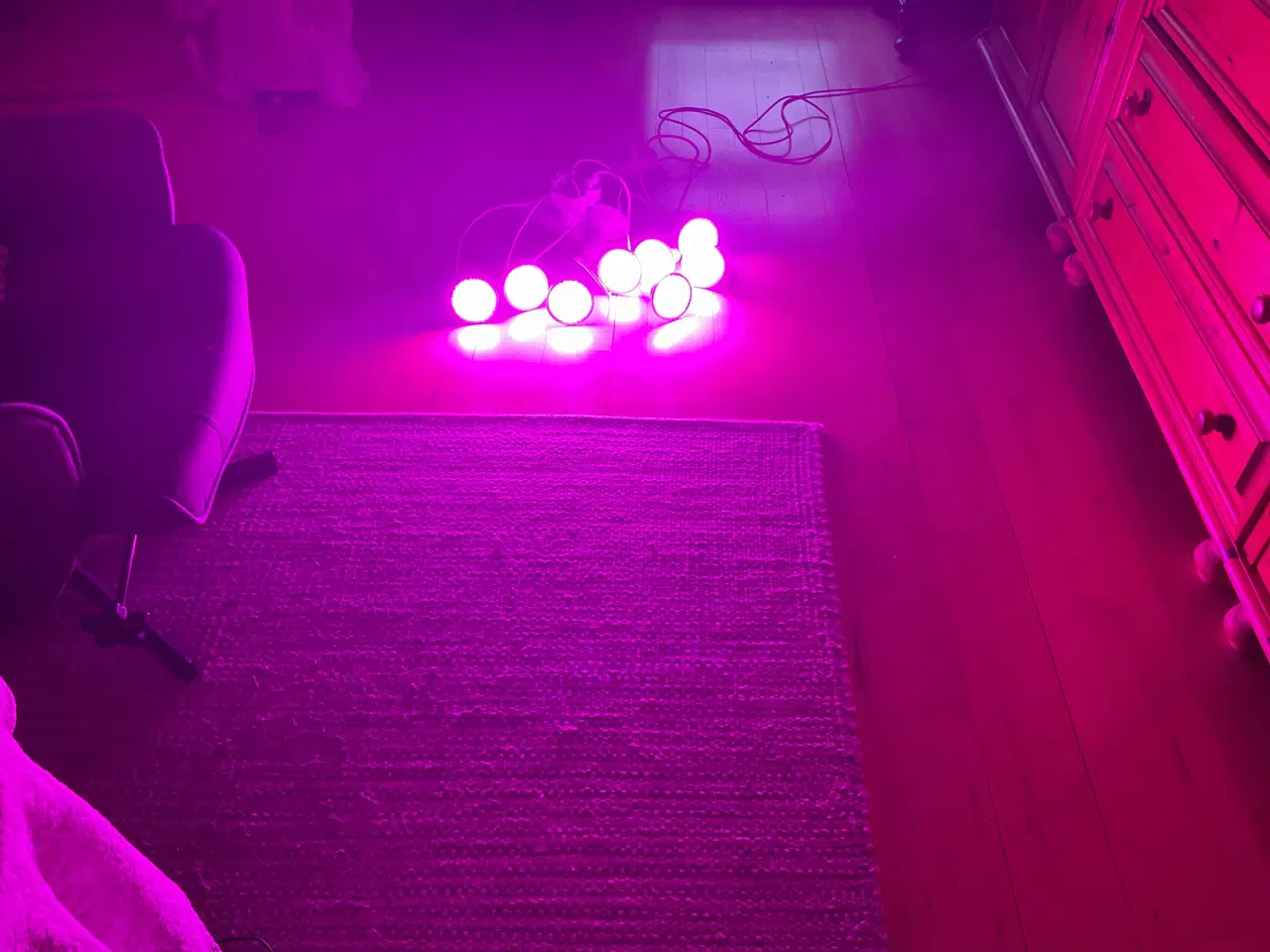 Billede 2 - Vækst lamper 9stk