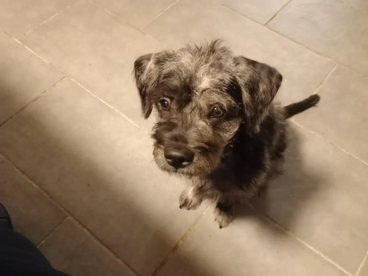 Billede 2 - Søde turbo 