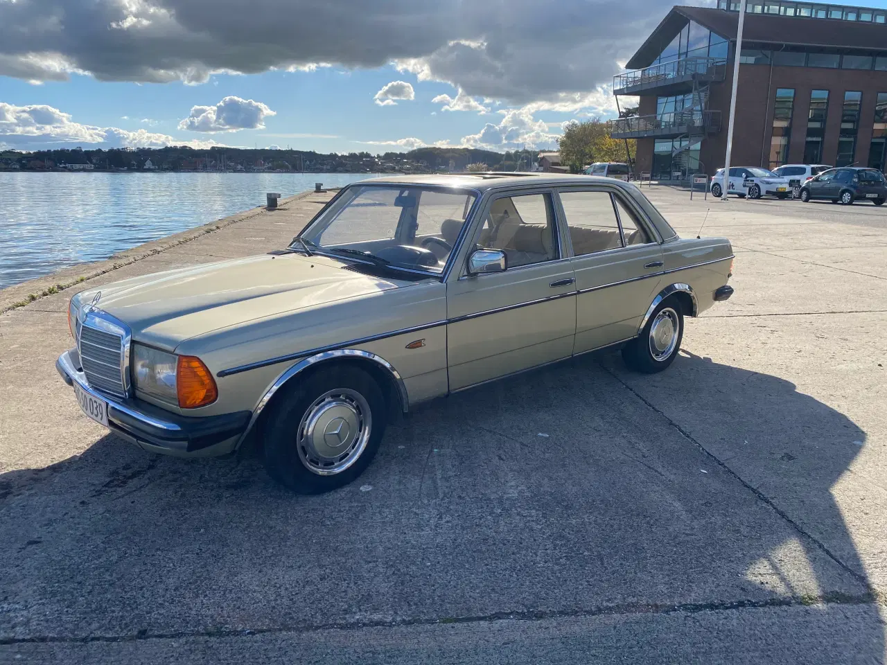 Billede 14 - Mercedes Benz W123 230E