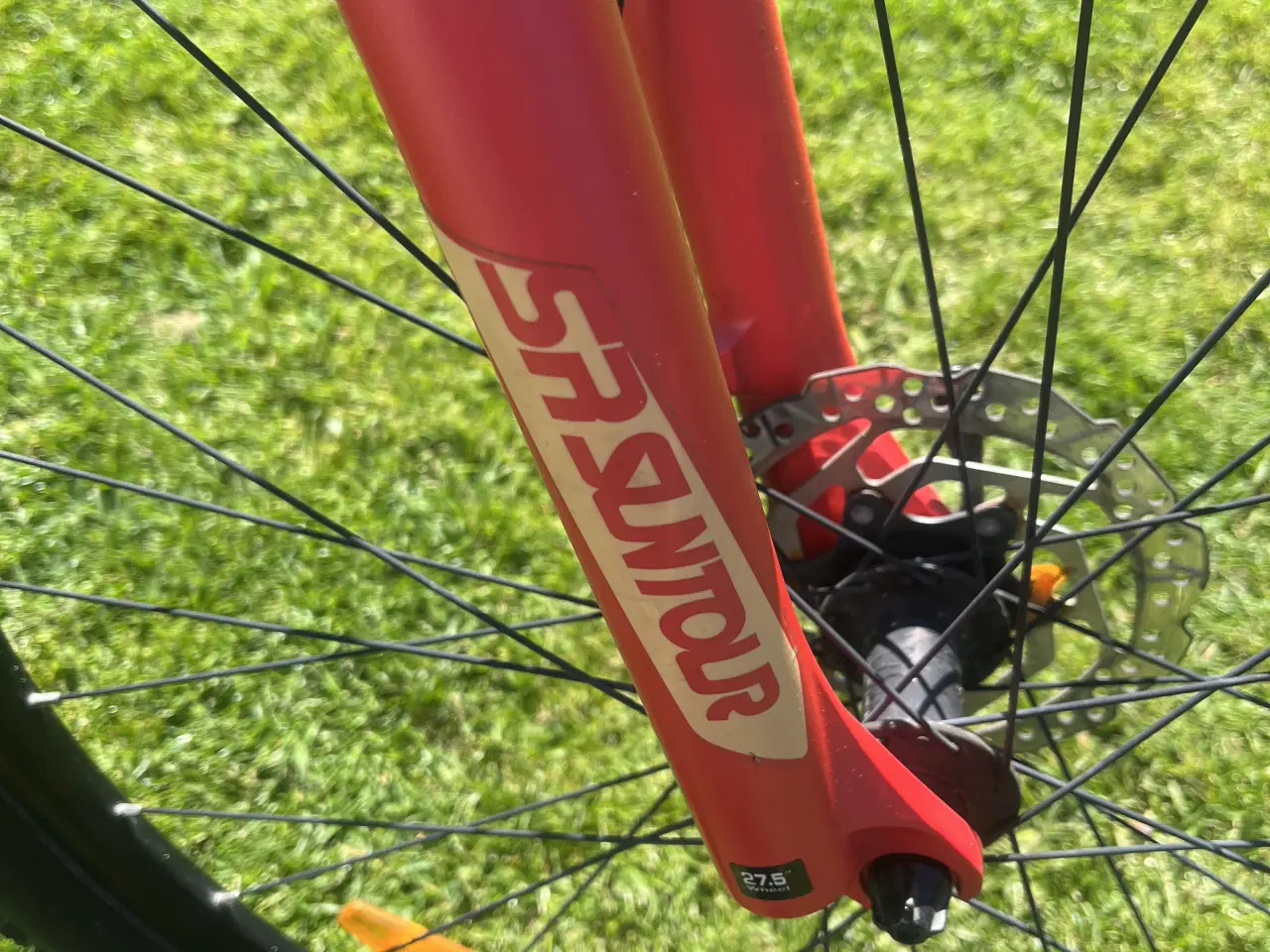 Billede 8 - Scoot dame mountainbike Str.s