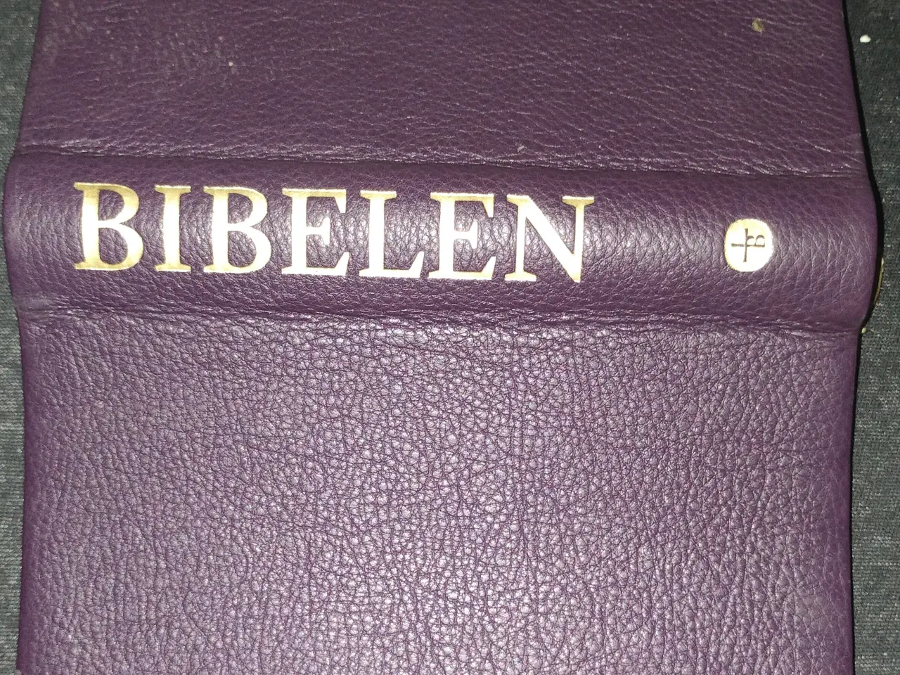 Billede 1 - Bibelen det gamle Testamentes kaninske bøger
