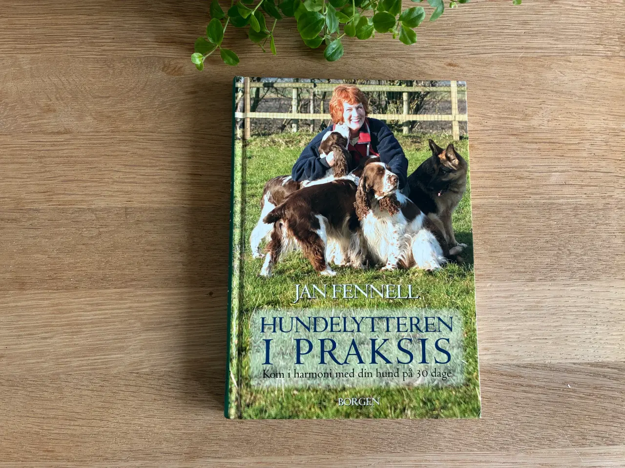 Billede 1 - Hundelytteren i PRAKSIS  af Jan Fennell
