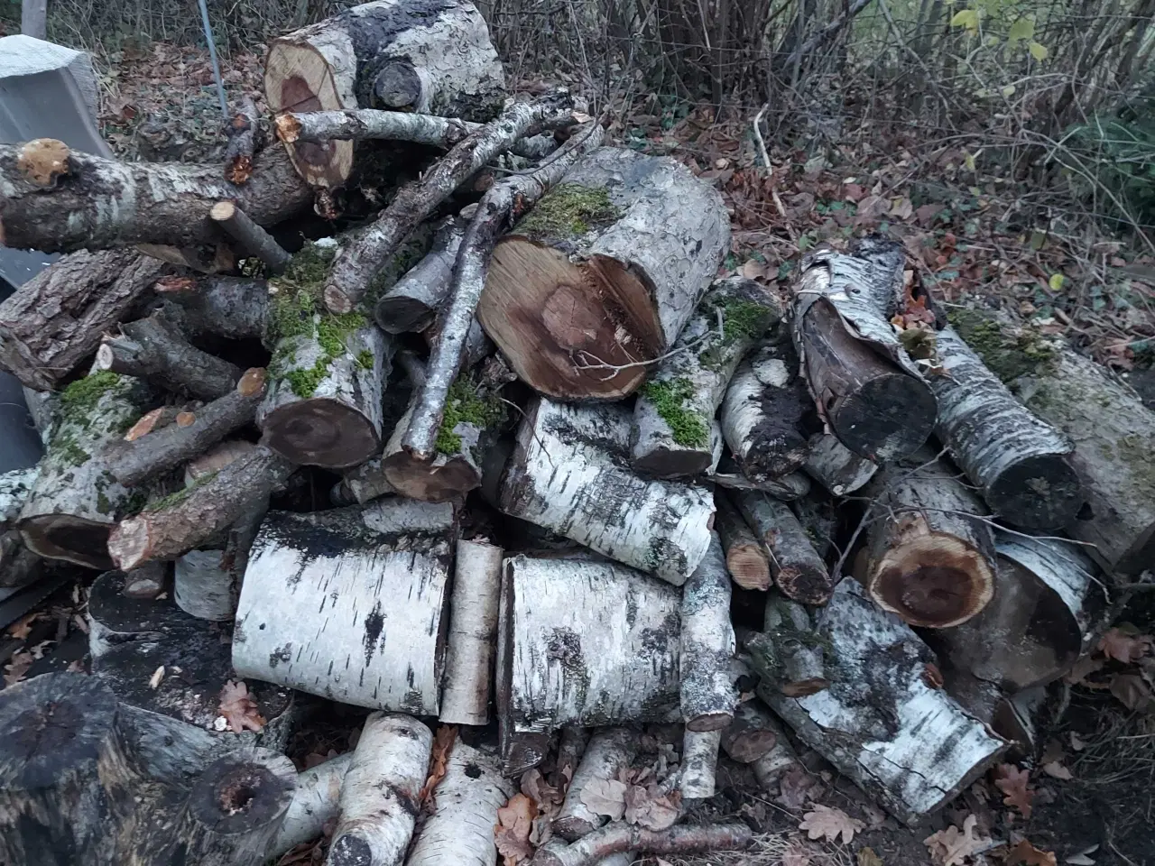 Billede 1 - Brænde blandet løv