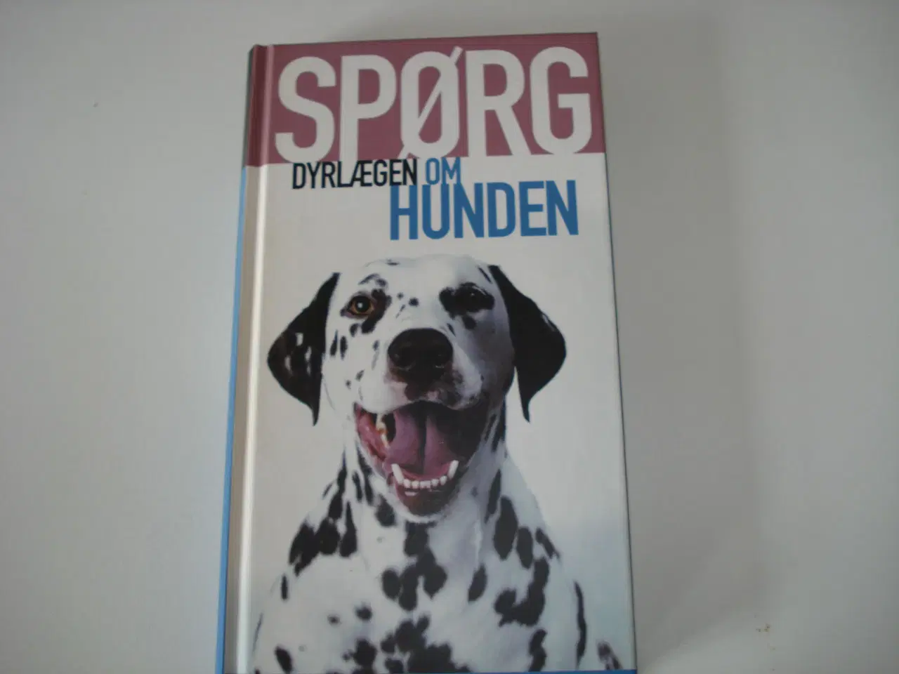 Billede 1 - Spørg Dyrlægen om hunden