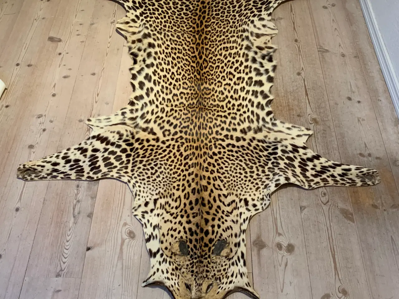 Billede 1 - Leopard Skind
