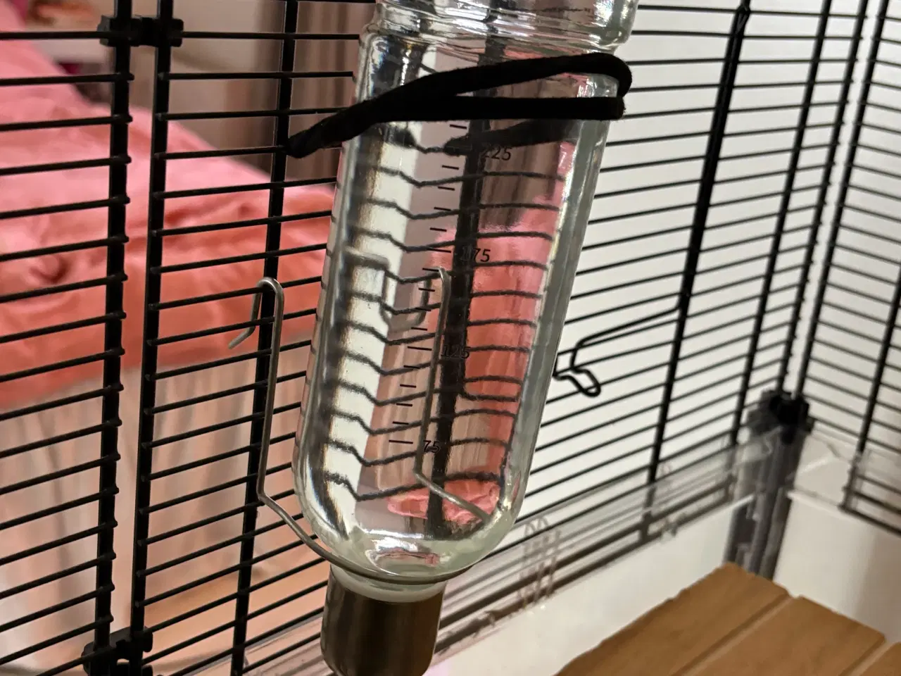 Billede 6 - To Han marsvin og tilbehør 