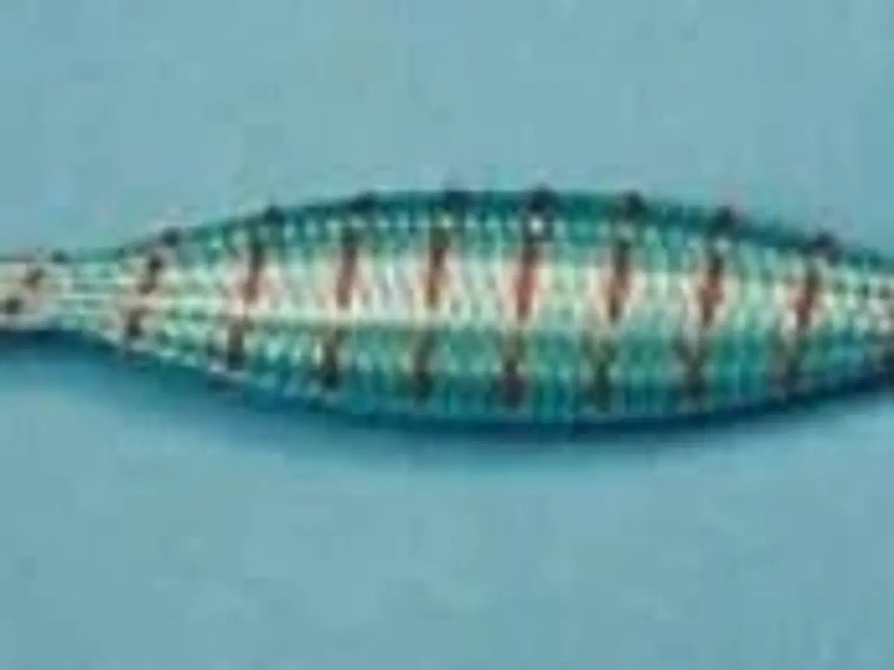 Billede 4 - Overtælle og Undertælle til fiskegarn søges/købes.