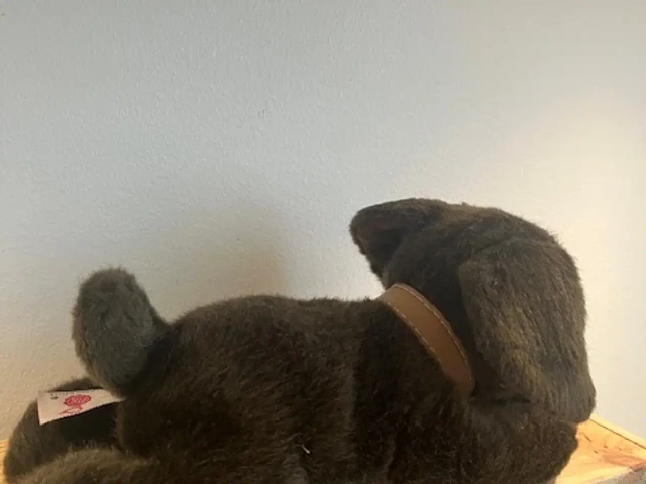 Billede 5 - Sød, blød "Basil" Chocolate Labrador fra Keel Toys