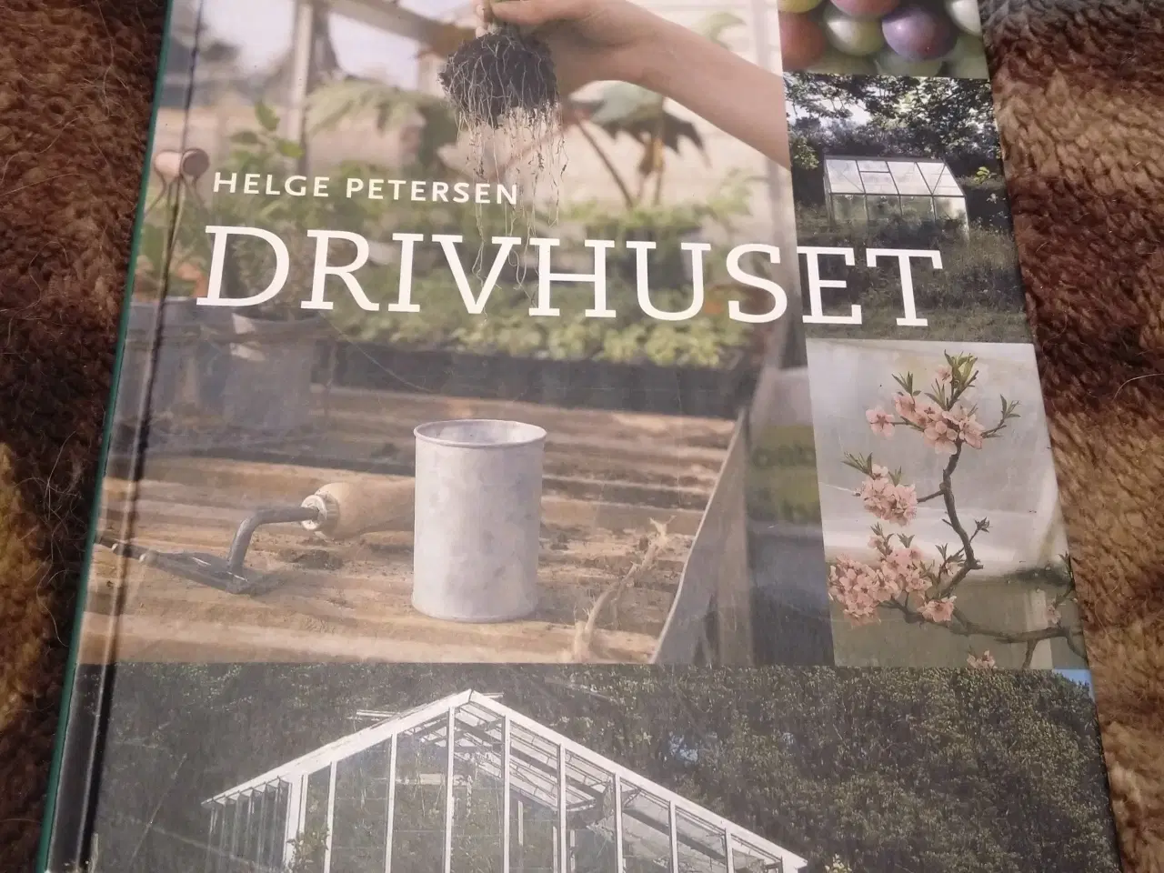 Billede 1 - Drivhuset