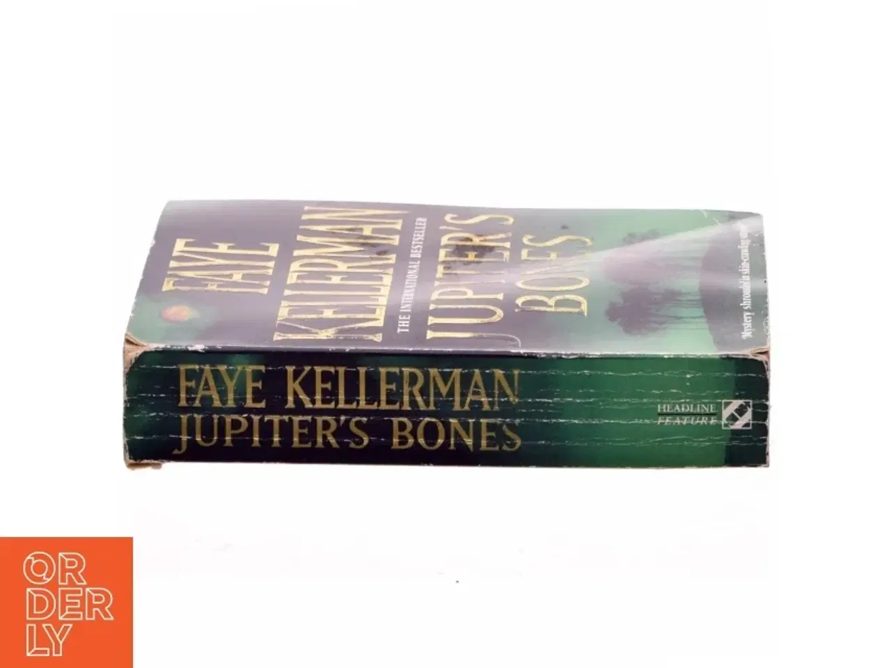Billede 2 - Jupiter&#39;s bones af Faye Kellerman (Bog)