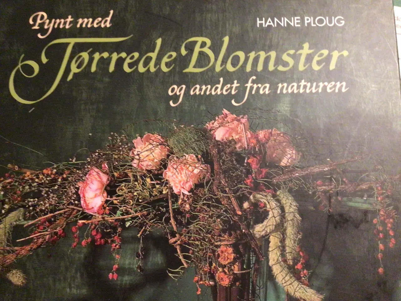 Billede 1 - Hanne Ploug : Pynt med tørrede blomster og 