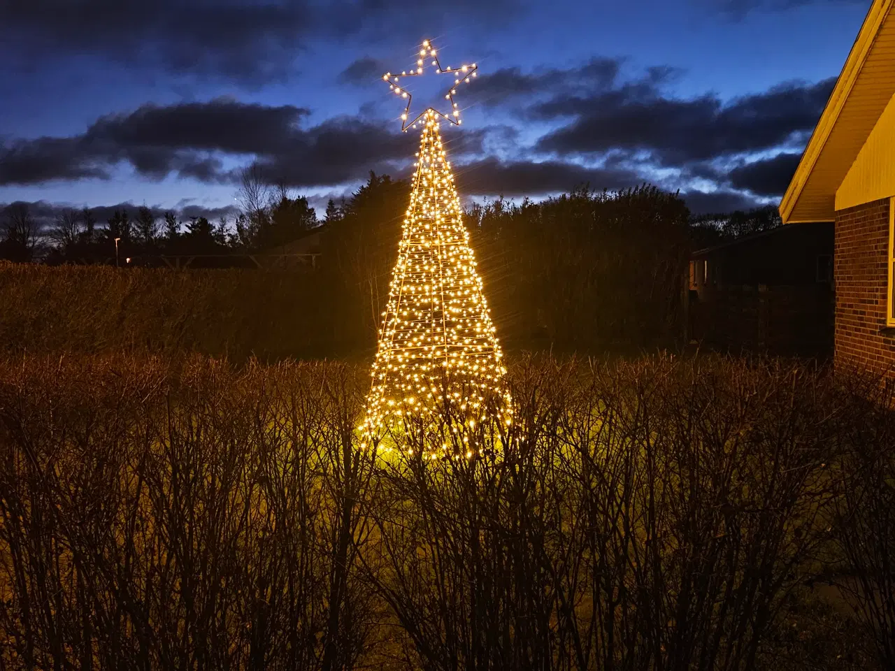 Billede 2 - Juletræer og stjerner🌲
