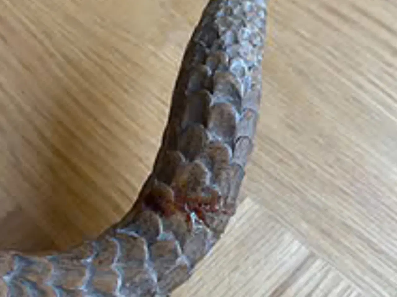 Billede 3 - Bali figurer