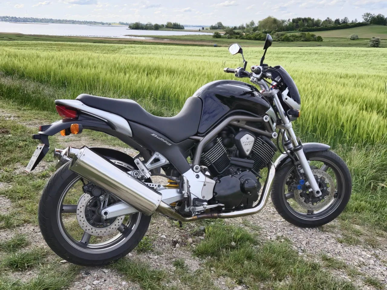 Billede 3 - Yamaha Bt 1100 Bulldog