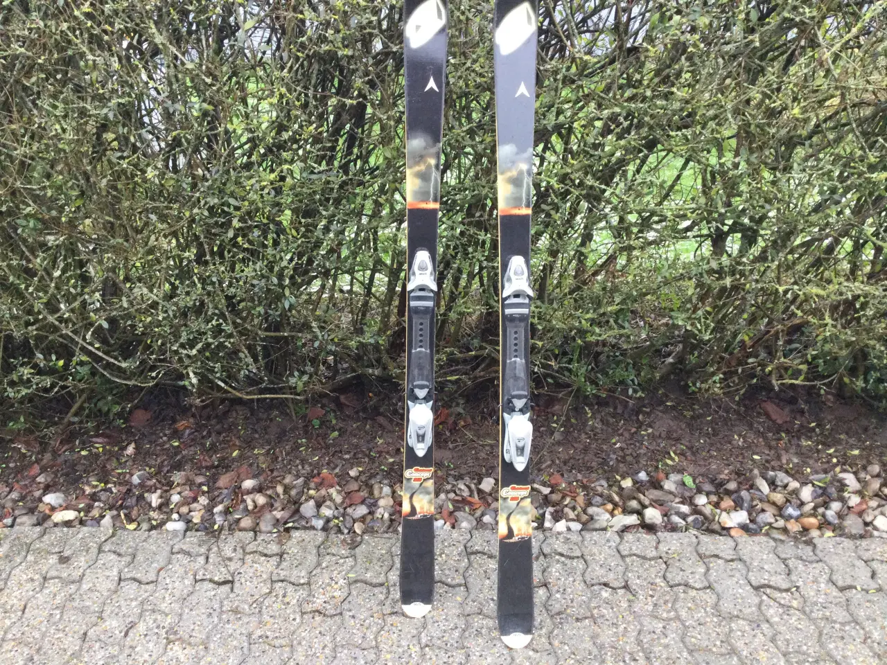 Billede 1 - Carvingski, Dynastar