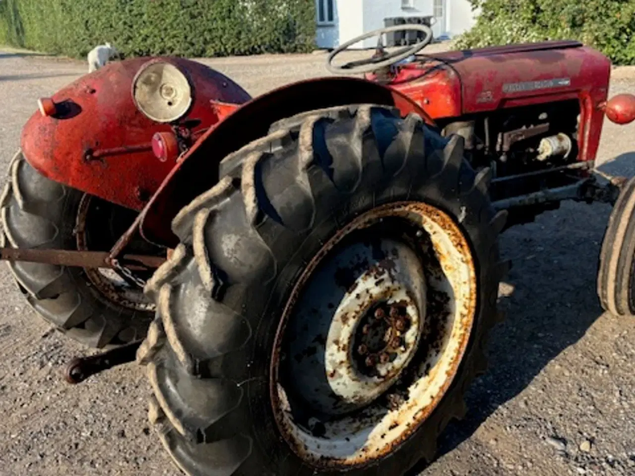Billede 6 - Massey Ferguson 35 benzin