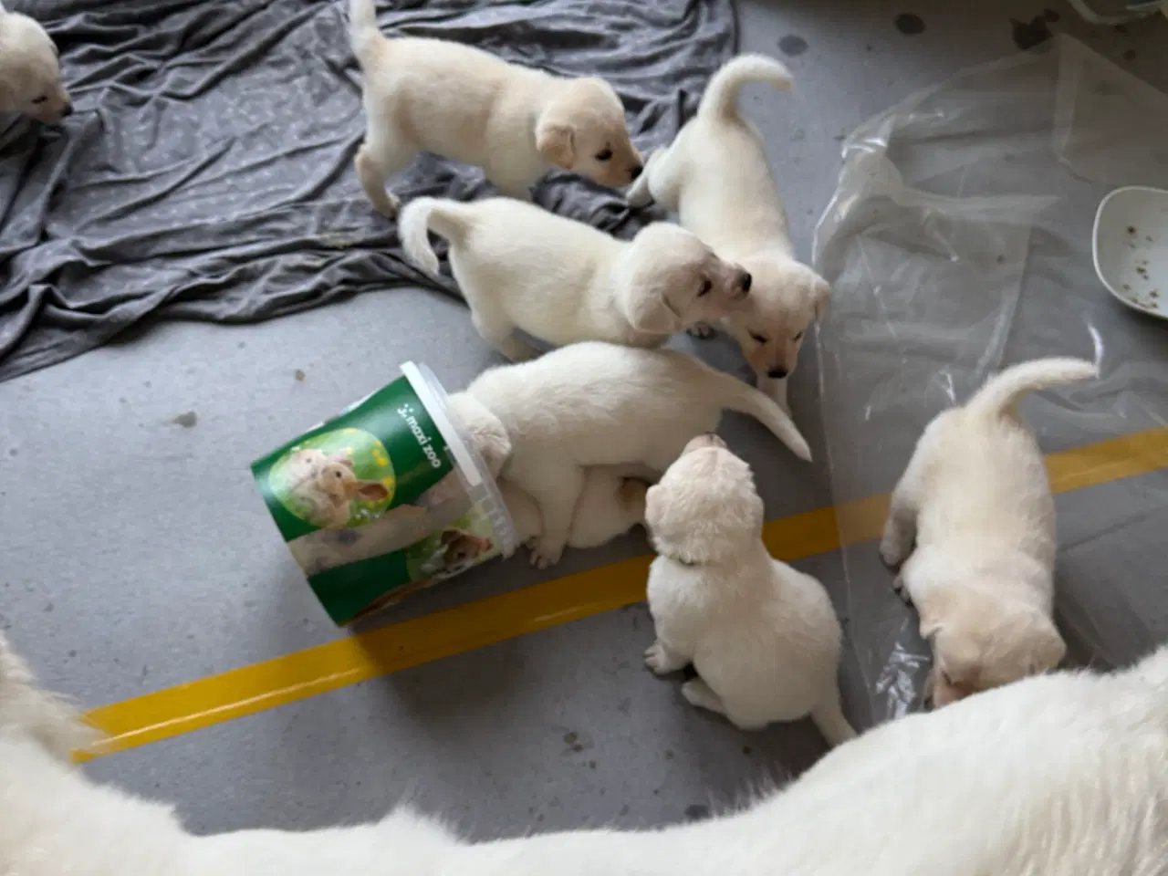 Billede 2 - Mangler du en blød julegave til familien 