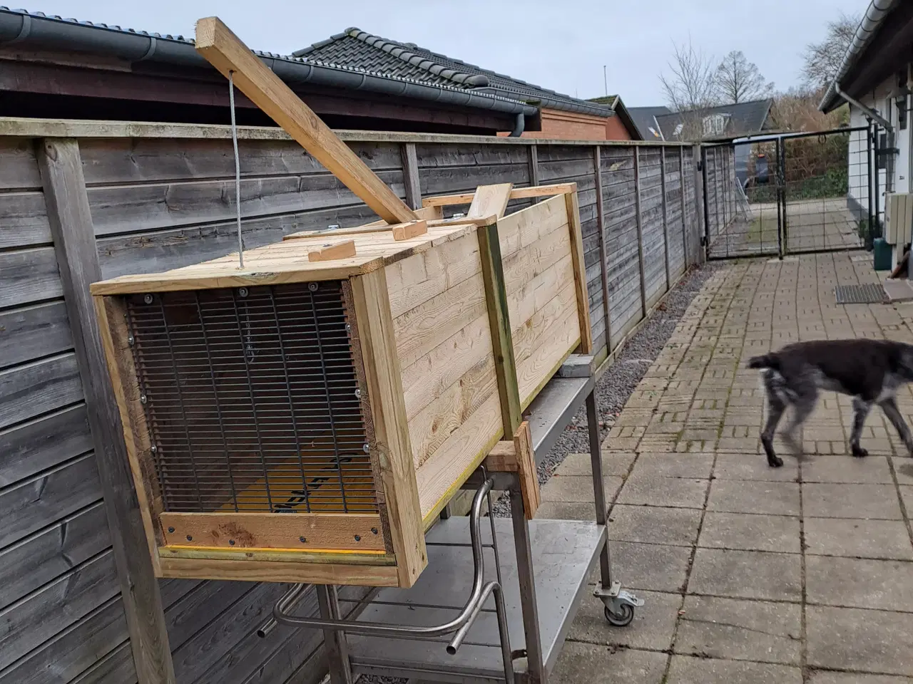 Billede 2 - Rævefælde / Minkfælde